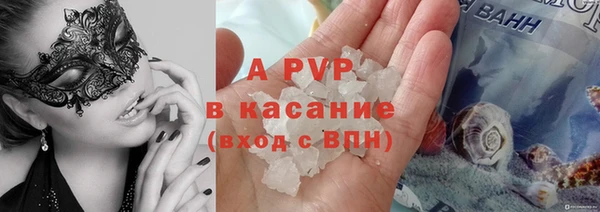стаф Покровск