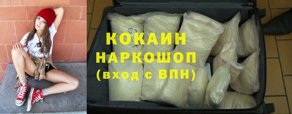 PSILOCYBIN Покров