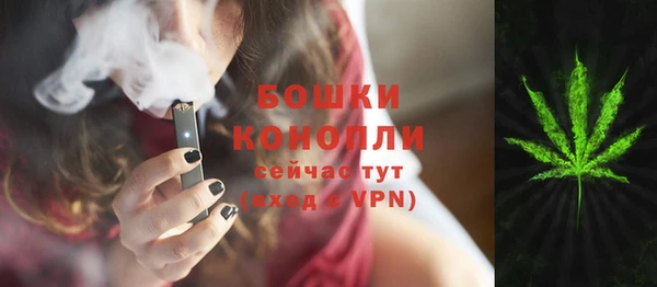 стаф Покровск