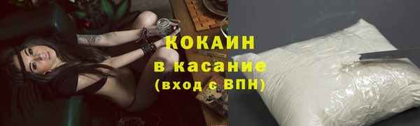 PSILOCYBIN Покров