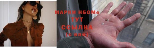 PSILOCYBIN Покров
