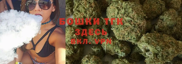 PSILOCYBIN Покров