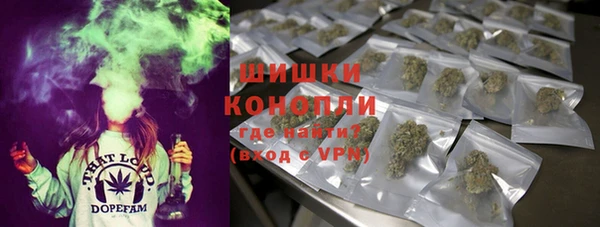 стаф Покровск