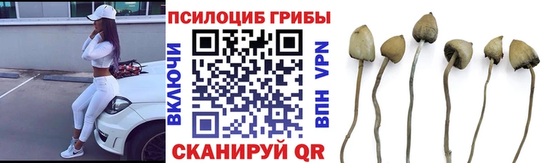 Галлюциногенные грибы мухоморы  где найти   Лодейное Поле 